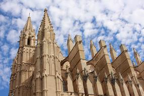 cathedral on palma de mallorca