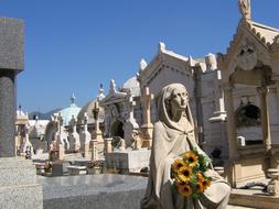 Beautiful and colorful Graveyard with the statues and flowers, in sunlight, under the blue sky