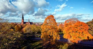 Beautiful landscape of Uppsala, Sweden, among the colorful and beautiful trees, in sunlight