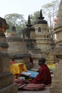 buddhist Monk reads book at ancient temple