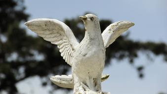 White Peace Pigeon statue