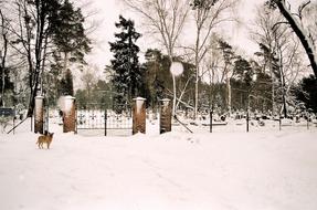 graveyard in the snow in winter