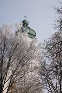 Steeple Church and trees