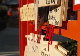 Oita Japan Temple wooden signs