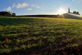 Church Grass at Sunrise