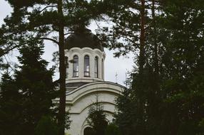 trees in front of the cathedral