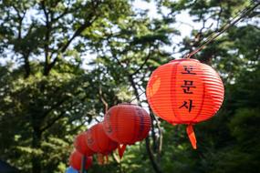 Light lanterns Bomunsa