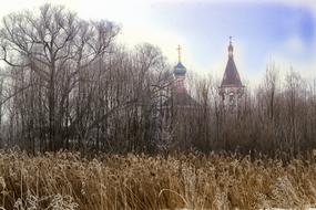 Grass Temple