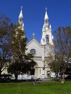 trees near the church of saint peter and paul