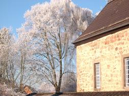 Church and cherry Tree