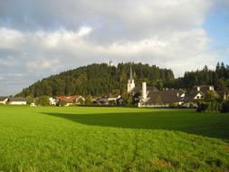 Beautiful landscape of the village on the green field, near the trees