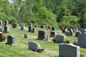 Landscape of the Catholic cemetery with colorful and beautiful plants, on landscape