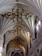 Salamanca Spain Cathedral ceiling