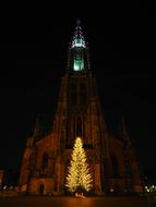 Christmas tree Lights in Munster at night