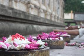 Flower Relaxation Beautiful