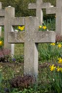 stone crosses on the graves of the forest cemetery