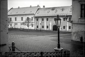 Black and white photo of the street with houses, trees and lantern