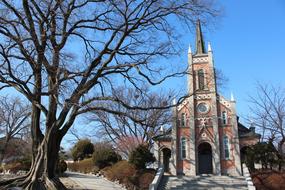 Wood Structure cathedral Outdoors