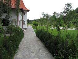 path with green bushes near the monastery