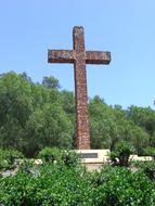 Christian Catholic Cross and trees