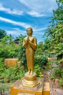 golden buddha sculpture in the temple garden