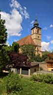 trees, grass, church tower