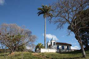 palm trees near the church in brazil