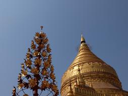 Golden Dome Buddhist Temple