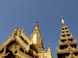 Temple Gold Buddha