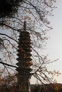 Beautiful South Putuo Temple among the colorful plants, in China, in the autumn
