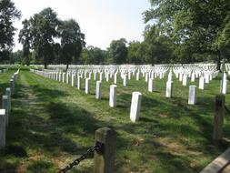 cemetery with graves