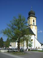 green tree near the church on a sunny day