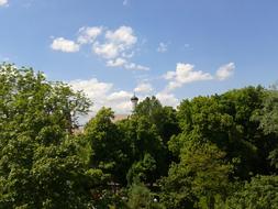 church tower behind green trees