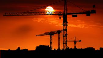 Silhouettes of the cranes, on the landscape, at colorful and beautiful sunset in the evening