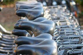 Close-up of the shiny, black saddles of the bicycles, in the row