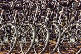 Bicycles Rent