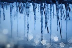 icicles against the evening sky