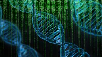 dna matrix genetics as a drawing