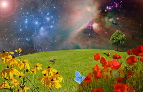 Meadow Green and flower poster drawing