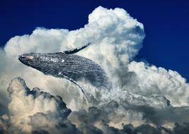 sea ââwhale on the background of a thundercloud