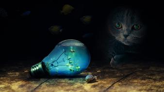 painted blue incandescent lamp, snail and british kitten