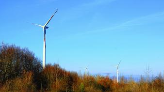 wind turbines among the autumn trees against the blue sky