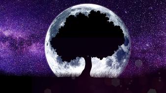 Astronomy tree silhouette on colorful landscape with Moon and stars