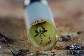 macro photo of a broken lamp