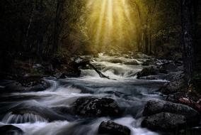 Beautiful waterfall with the rocks, among the colorful plants, in sunlight