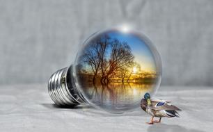 lake in the light bulb