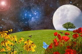 Meadow Green and moon drawing with the colorful space