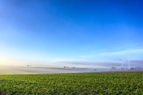 rural landscape with green fields and distant wind power plant