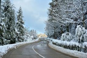 photo of a wet asphalt road along a winter forest