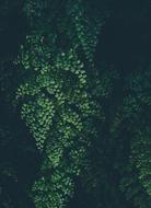 Abstract Art Background drawing